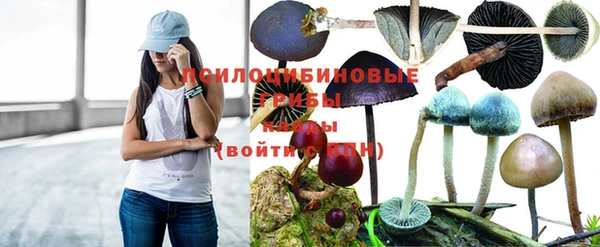 прущая мука Лабытнанги